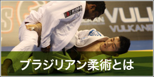 ブラジリアン柔術とは