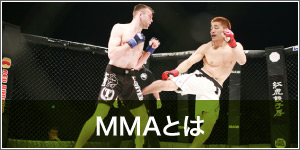 MMAとは